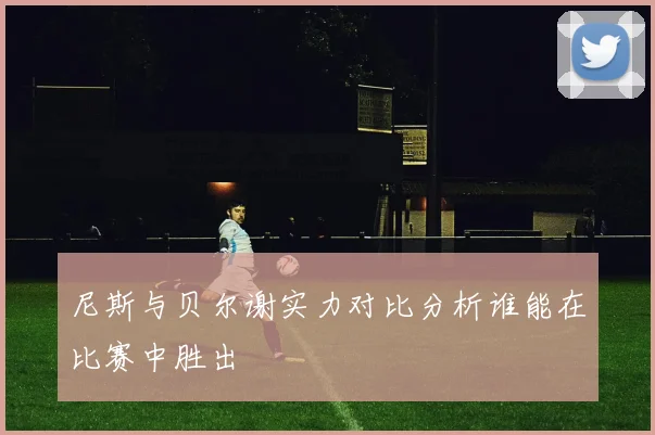 尼斯与贝尔谢实力对比分析谁能在比赛中胜出