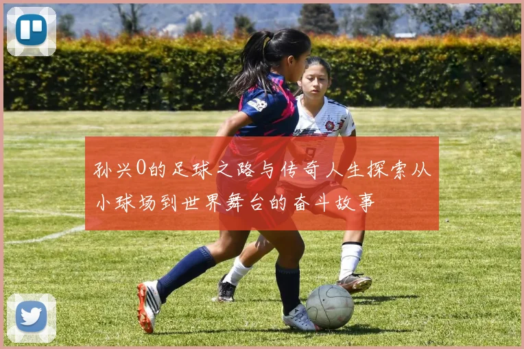 孙兴O的足球之路与传奇人生探索从小球场到世界舞台的奋斗故事