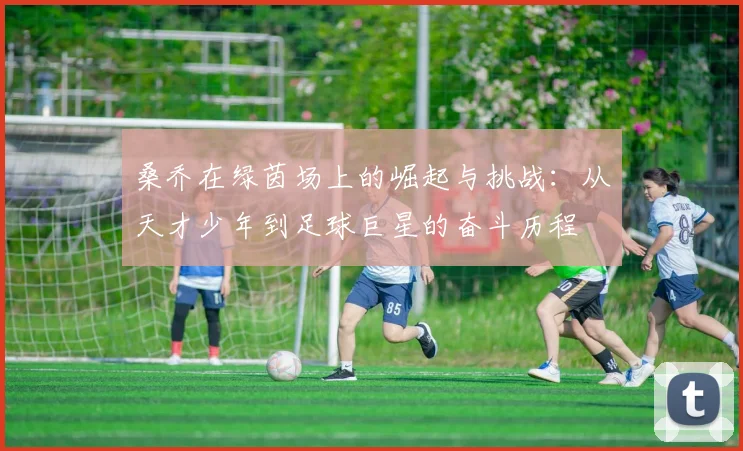 桑乔在绿茵场上的崛起与挑战：从天才少年到足球巨星的奋斗历程