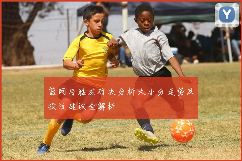 篮网与猛龙对决分析大小分走势及投注建议全解析