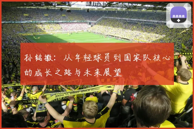 孙铭徽：从年轻球员到国家队核心的成长之路与未来展望